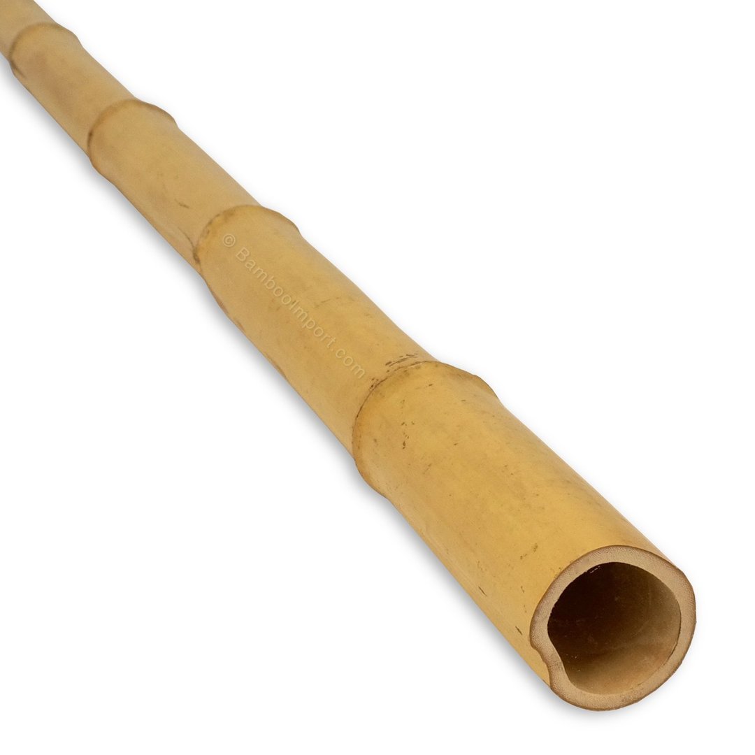 Bamboe 1,50cm